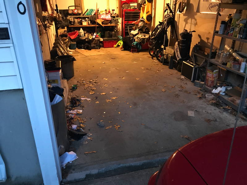 Illustration for article titled Is My Garage Clean?